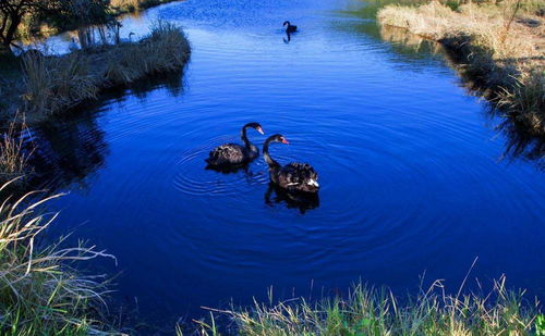 从湖北旅游附近,到湖北旅游的最佳路线
