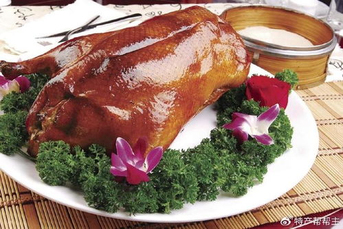 湖北美食深圳烤鸭视频,湖北美食深圳烤鸭视频播放