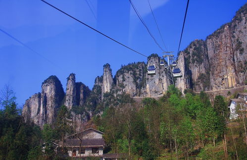 贵州旅游湖北游客,贵州湖北旅游景点