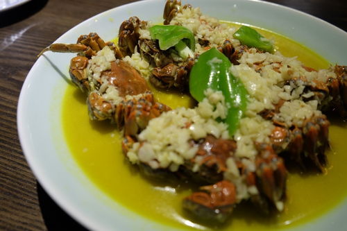 央视主持人的湖北美食,央视主持人美食节目