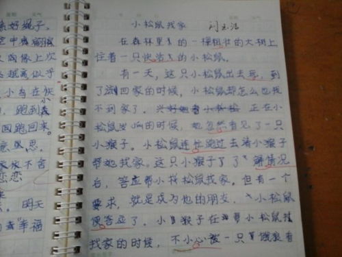 介绍湖北美食100字作文,介绍湖北美食100字作文三年级