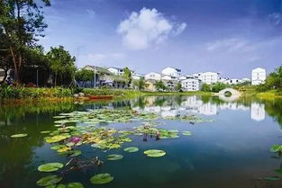 南宁西乡塘区北湖北美食,南宁西乡塘北湖村