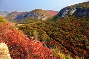 湖北旅游避暑推荐,湖北避暑好玩的地方 湖北旅游避暑推荐,湖北避暑好玩的地方