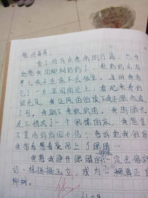 湖北美食特色作文500字,湖北美食特色作文500字怎么写