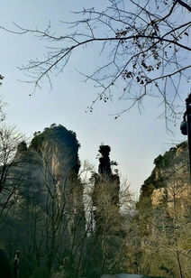 湖北旅游需要什么,湖北旅游需要几天时间