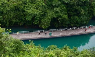 旅游湖北恩施咸丰,湖北恩施咸丰简介