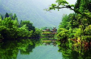 湖北水杉旅游景点,平安州节度使