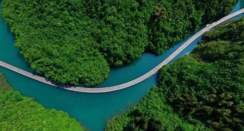 湖北水杉旅游景点,平安州节度使