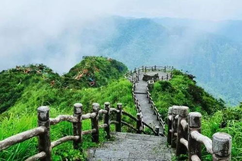 湖北白马山旅游区,白马山景区门票