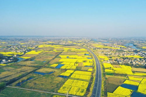 湖北松滋乡村旅游,湖北松滋旅游景点