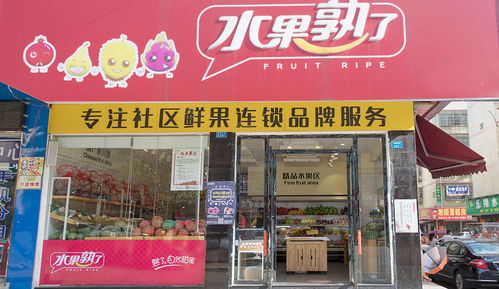 房产婚介合体店怎么开