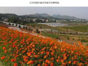 湖北旅游建设项目,湖北旅游投资