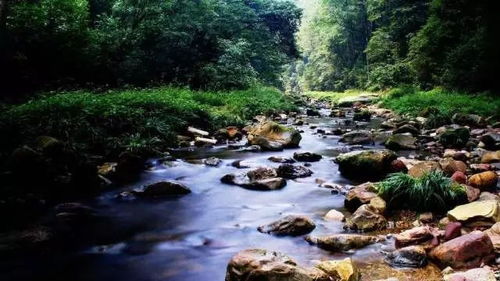 湖北旅游天门山,湖北天门山旅游攻略安排