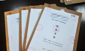 湖北代写旅游标书难不难,湖北代做旅游标书