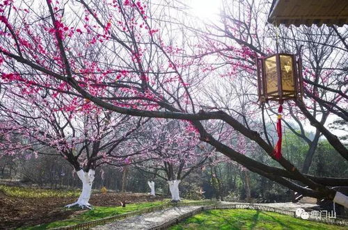 湖北襄阳夏天旅游,襄阳夏日好去处