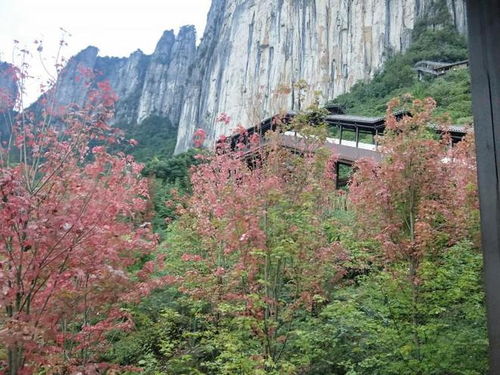 湖北恩施三天旅游攻略,湖北恩施三天旅游攻略大全