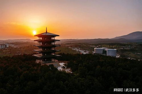 湖北荆门组团旅游,荆门最好旅游团
