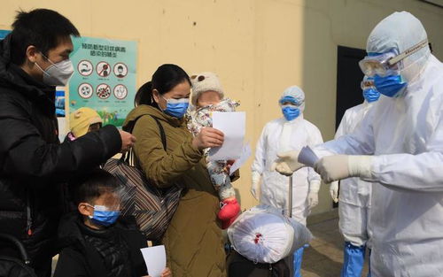 湖北一家六口人去旅游被骗,湖北一家六口被灭门