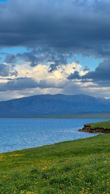 湖北如何去新疆旅游,湖北如何去新疆旅游最便宜