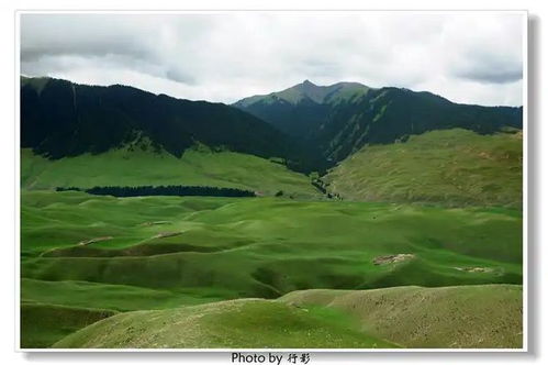 湖北如何去新疆旅游,湖北如何去新疆旅游最便宜