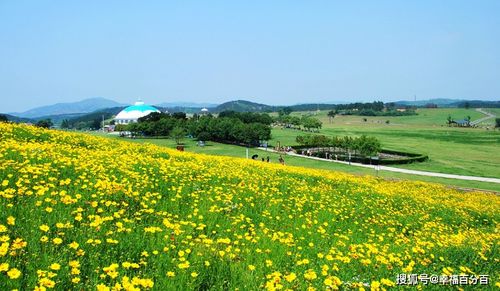 湖北美食及景区,湖北美食及景区推荐