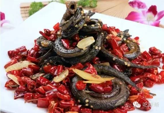 湖北美食水蜈蚣,水蜈蚣的药效