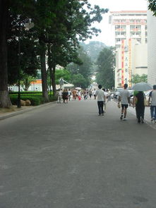 湖北旅游滞留厦门,湖北去厦门最新政策