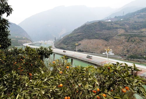 湖北兴山旅游规划,湖北兴山县城全图视频