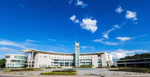 湖北经济学院旅游专业学费,湖北经济学院各专业学费