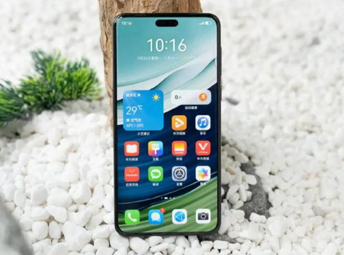 抖音能抢华为mate60吗,抖音领华为手机