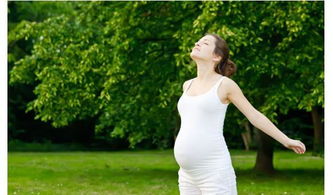 孕妇去哪里旅游湖北,孕妇去哪旅游好