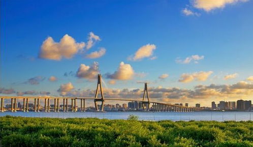 湖北怎么去湛江旅游,湖北怎么去湛江旅游最方便