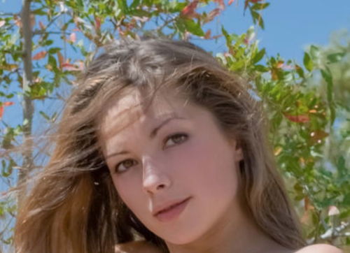 湖北疫情旅游图表动态,湖北疫情旅游图表动态查询