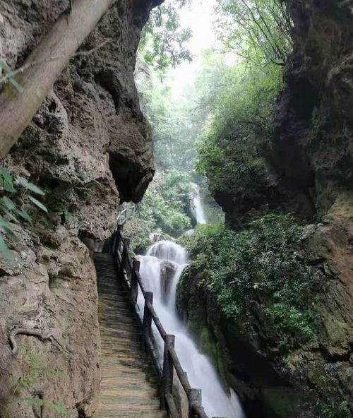 湖北旅游攻略携程,湖北旅游攻略必玩的景点