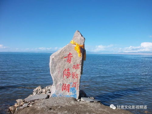 去青海湖北旅游多少钱,去一趟青海湖费用