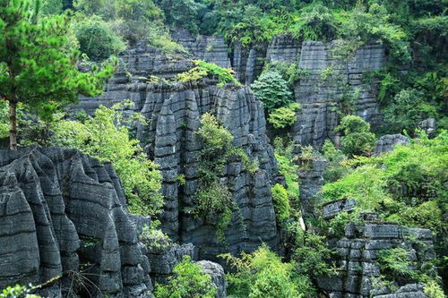 深圳湖北恩施旅游攻略三天,湖北恩施旅游攻略三日游