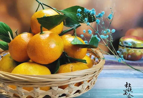 湖北美食橘酿,湖北橘乡