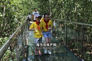 招聘湖北钟祥旅游,湖北钟祥旅游景区