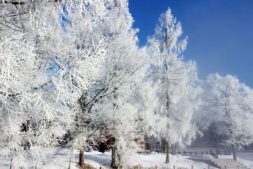 湖北冬天雪景旅游攻略,姨妈来前不掉秤