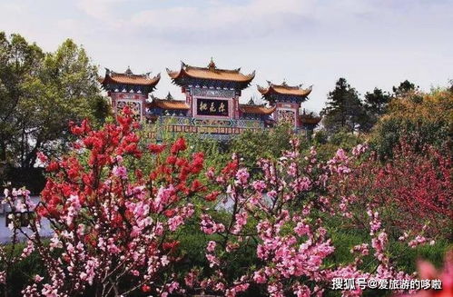 湖北江门旅游,湖北江门旅游景点有哪些