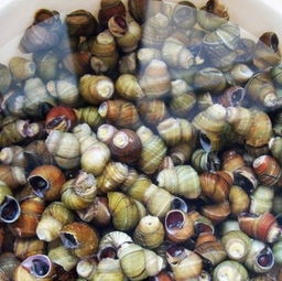 螺蛳湾湖北美食,螺蛳湾美食街在几区