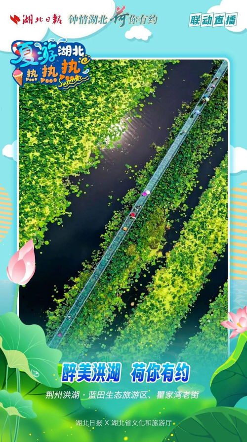 湖北洪湖县旅游景点,湖北洪湖景点有哪些地方