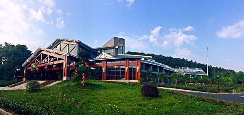 湖北省内旅游景点推荐,湖北省内旅游景点推荐一日游