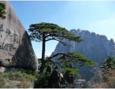 江苏安徽湖北旅游,江苏浙江安徽旅游景点大全