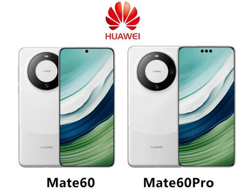华为mate60交通卡怎么用,华为nova6公交卡