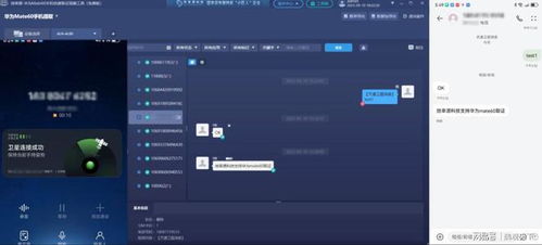 华为mate60花瓣怎么恢复原视频,华为花瓣有什么作用