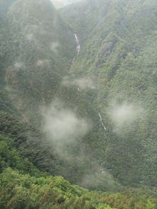 湖北明月山旅游攻略,湖北明月山旅游攻略路线