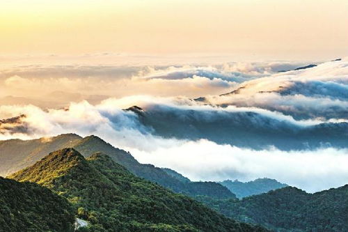 湖北随州大洪山旅游路线,随州大洪山门票多少钱