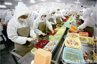 湖北美食华子,湖北华美食品厂