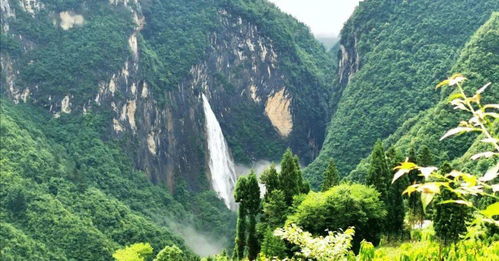 湖北旅游卡恩施,恩施州旅游年卡